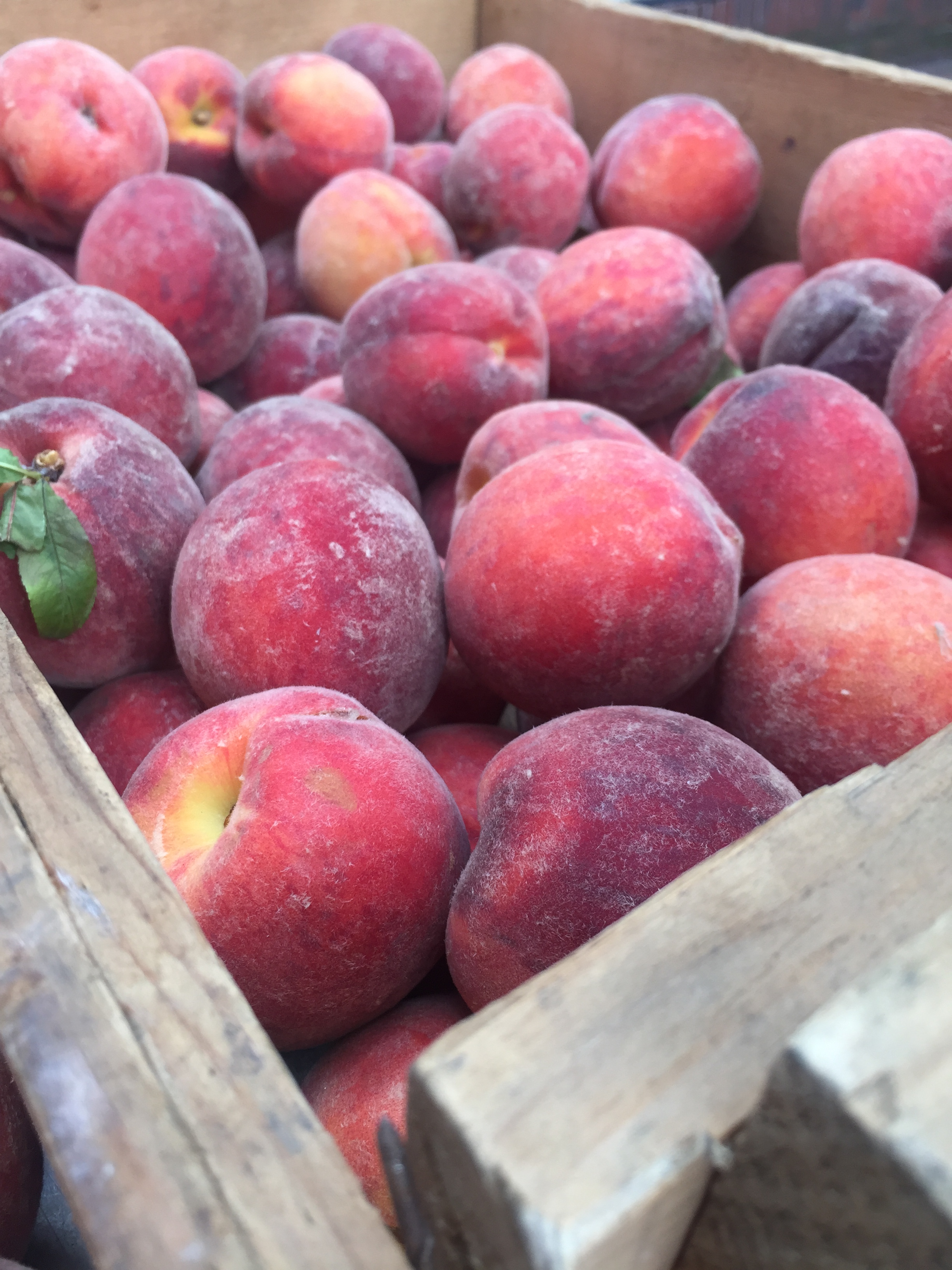 Peaches at Charles River Farmers Market