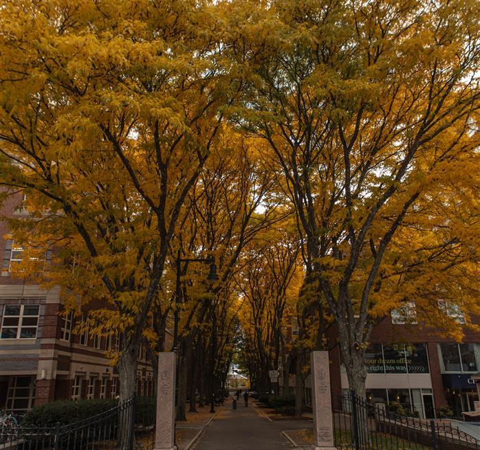 The Charles Hotel Exterior and Harvard Kennedy School