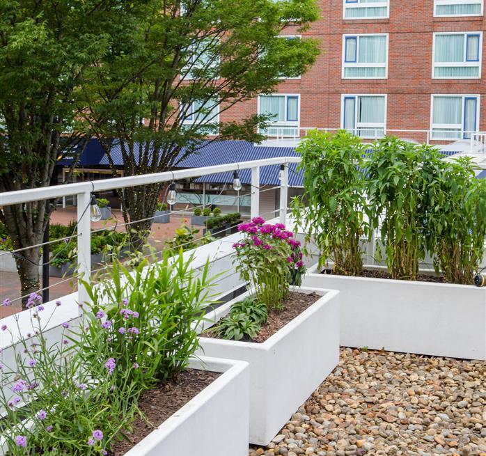 garden