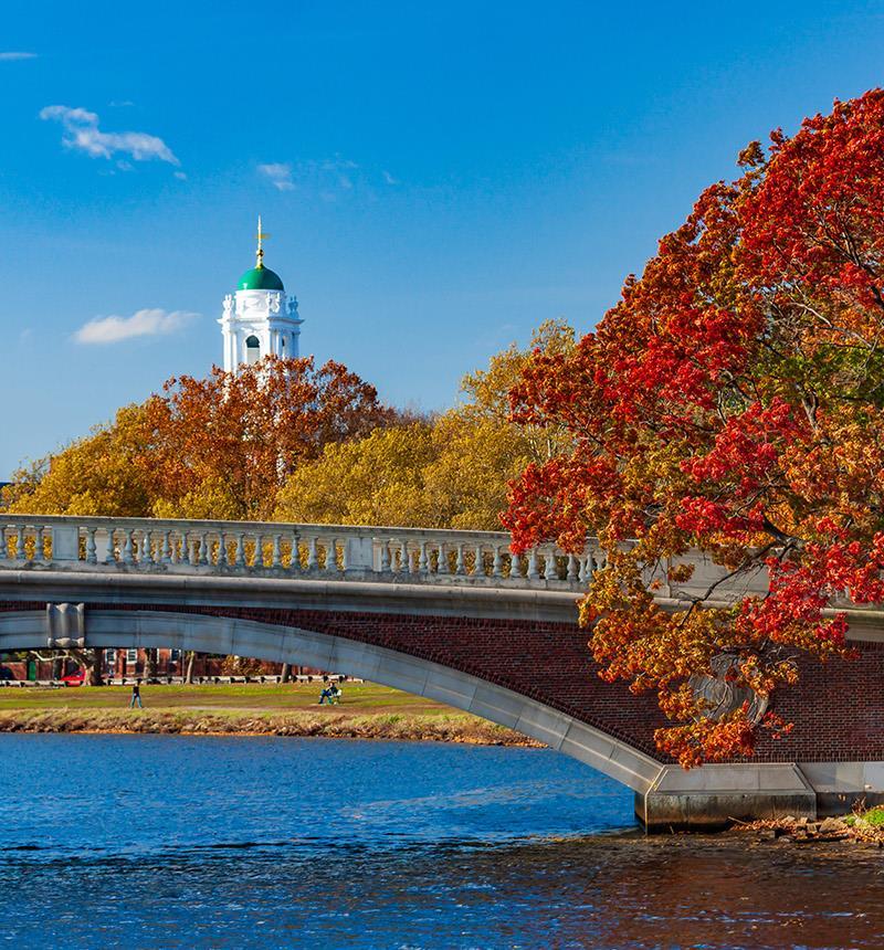 River view