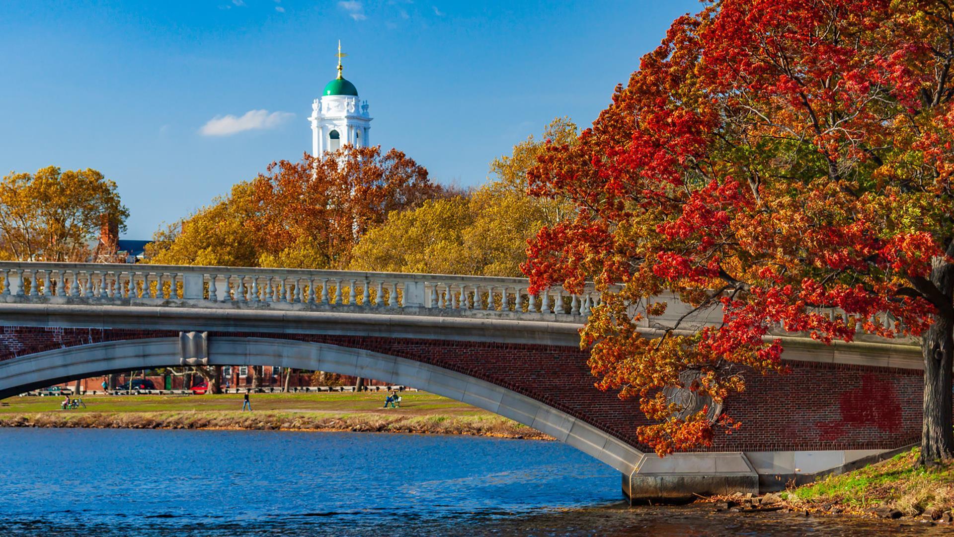 Cambridge bridge