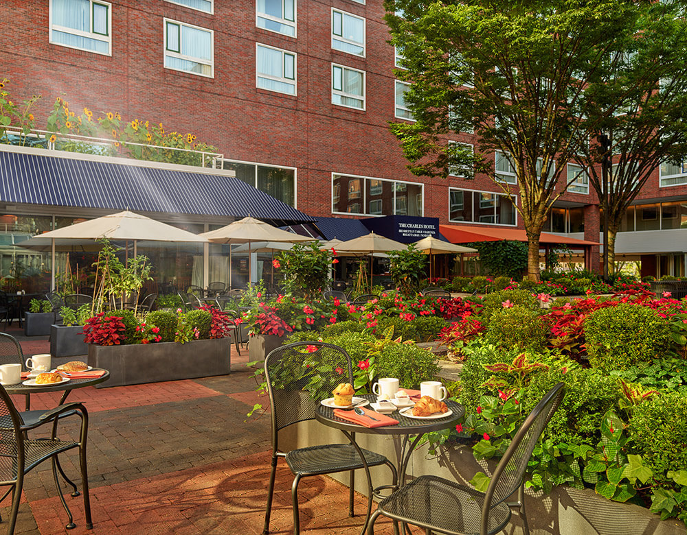 Courtyard area with bushes, trees, and patio umbrellas