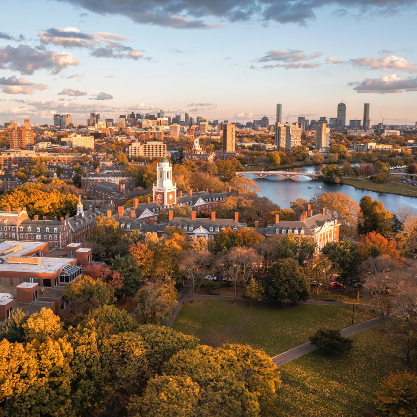 Harvard Square 3