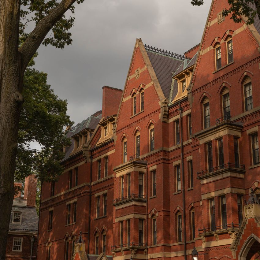 Harvard Square 5