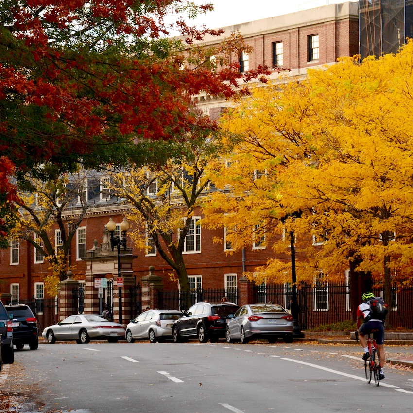 Harvard Square 1