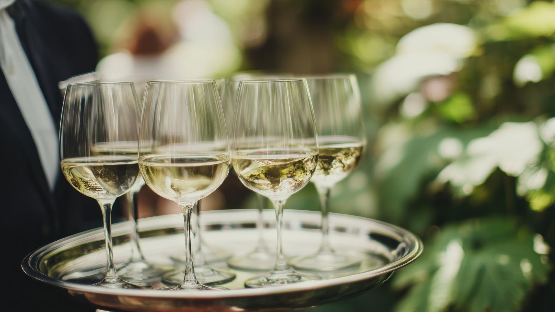 server carrying white wine on tray