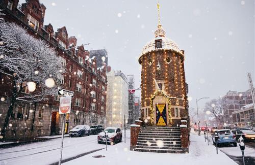 Winter in harvard square