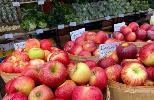 Charles River Farmers Market - Friday
