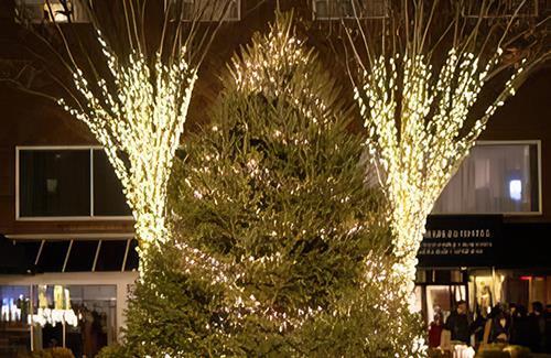 The Charles Hotel Annual Tree Lighting Celebration