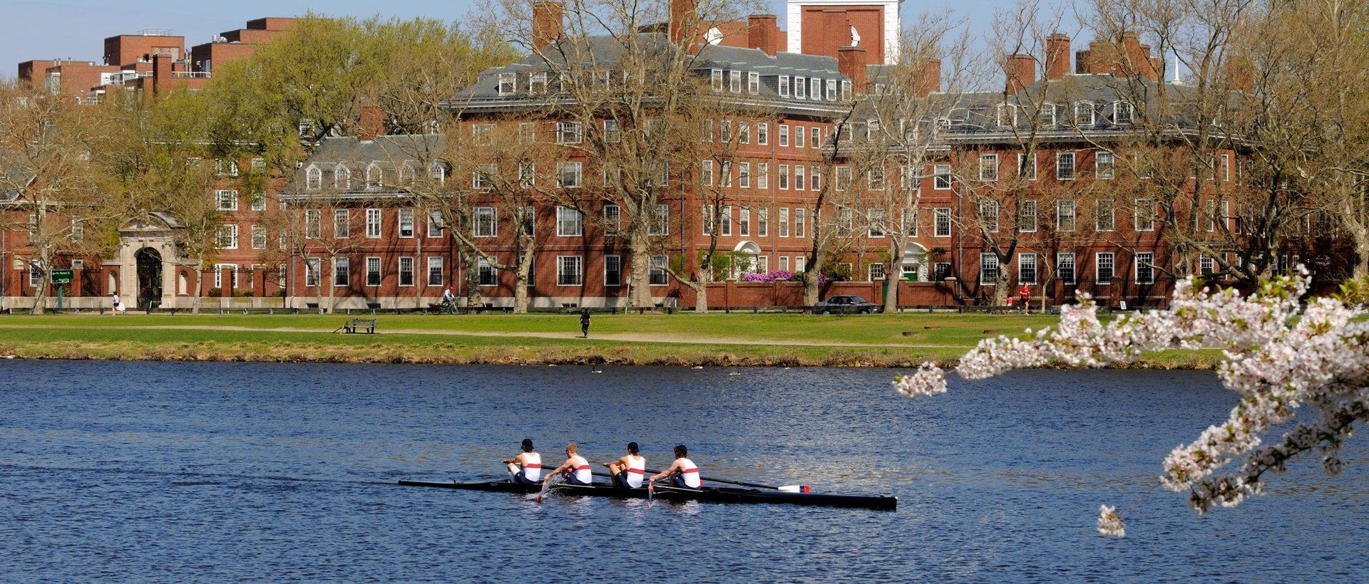 Rowing Team going down a river in the springtime