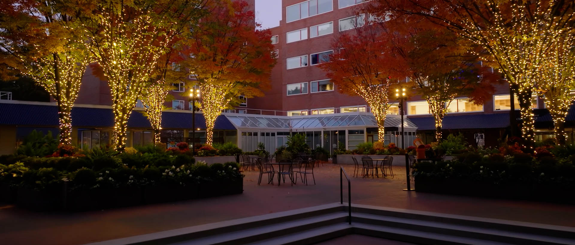 Charles Courtyard with yellow string lights in the trees